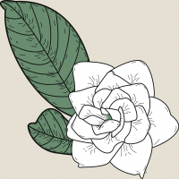 24. gardenia fl