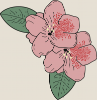 47. rhododendron sim